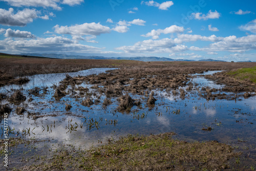 Blackish Marsh at Grizzly island Wildlife area on a partly cloudy day with blue sky and plenty of sky copy-space showing a portion of the Suisun marsh, Fairfield, California, USA, in the winter of 20