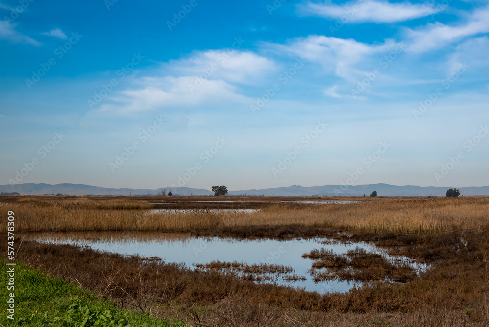 Blackish Marsh at Grizzly island  Wildlife area on a partly cloudy day with blue sky and plenty of sky copy-space showing a portion of the Suisun marsh, Fairfield, California, USA