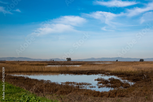 Blackish Marsh at Grizzly island  Wildlife area on a partly cloudy day with blue sky and plenty of sky copy-space showing a portion of the Suisun marsh, Fairfield, California, USA