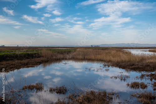 Blackish Marsh at Grizzly island  Wildlife area on a partly cloudy day with blue sky and plenty of sky copy-space showing a portion of the Suisun marsh  Fairfield  California  USA