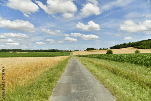 Route   troite de campagnes entre les champs d agriculture pr  s du bourg de Champagne au P  rigord Vert 