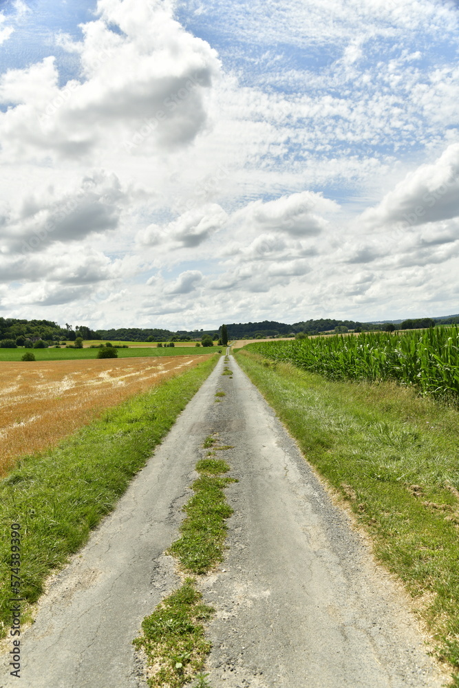 Route étroite de campagnes entre les champs d'agriculture près du bourg de Champagne au Périgord Vert 