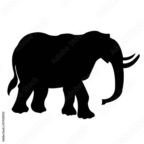 elephant isolated on white