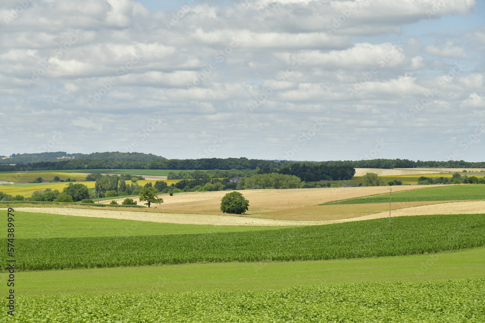 L'arbre solitaire au milieu de l'immensité des champs de blé et de maïs près du bourg de Fontaine au Périgord Vert L'arbre solitaire au milieu de l'immensité des champs de blé et de maïs près du bourg de Fontaine au Périgord Vert