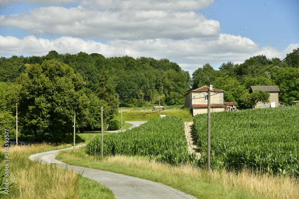 Route de campagne traversant la végétation luxuriante entre bois et champs près d'un hameau à Vendoire au Périgord Vert 