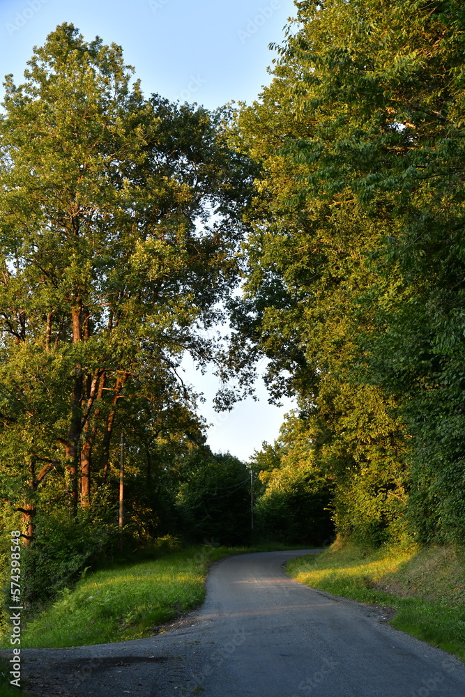 Naklejka premium Chemin forestier en bitume sous la lumière du coucher de soleil près du bourg de Champagne au Périgord Vert