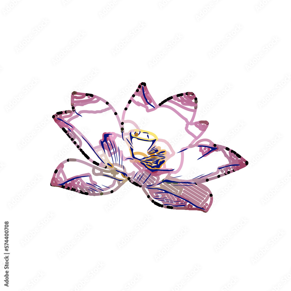 Color sketch of a lotus flower with transparent background Color sketch of a lotus flower with transparent background