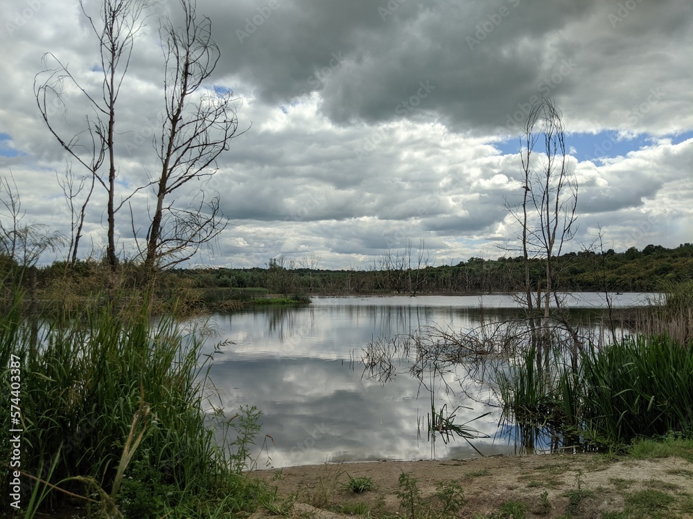 lake in the forest lake in the forest