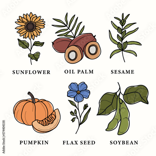 Collection of line art vegetable oil plants