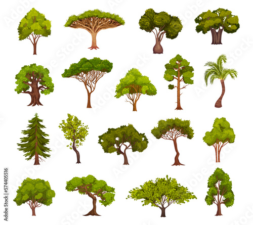 Green Deciduous Trees with Exuberant Tree Crown Big Vector Set
