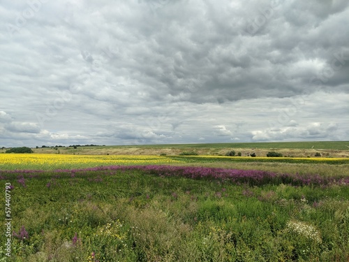 landscape with a field of flowers and clouds