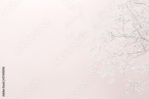 Soft natural plant background. Dreamy background with meadow flowers. Twigs of gypsophila on a pink background. High key, copy space.