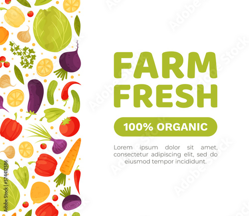 Fresh Vegetables Banner Design with Ripe and Juicy Garden Crop Vector Template