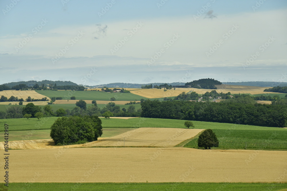 Paysage rural de champs parsemés d'arbres isolés et de bois aux environs du bourg de Champagne au Périgord Vert 