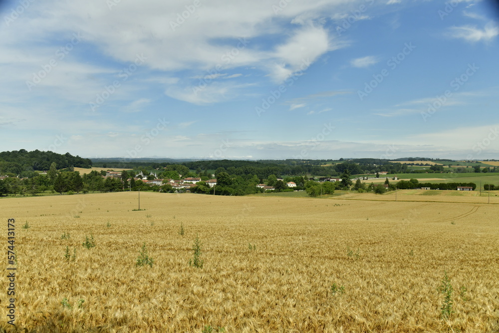 Champs de blé sous un ciel plus ou moins nuageux près du bourg de Champagne au Périgord Vert 