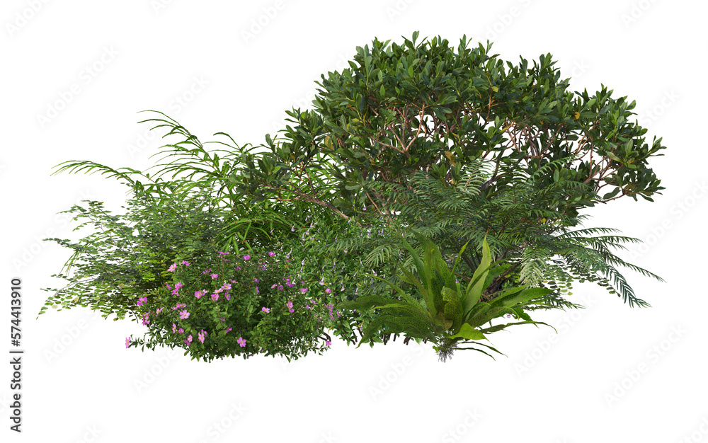 A small garden decorated with many plants on a transparent background. - obrazy, fototapety, plakaty 