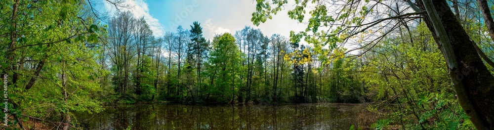 Panorama of forest lakes in spring, young leaves and freshly blossomed buds of trees and shrubs Panorama of forest lakes in spring, young leaves and freshly blossomed buds of trees and shrubs