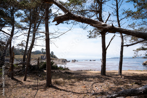 A landscape view of a coast from the inside of a dry forest during a sunny day