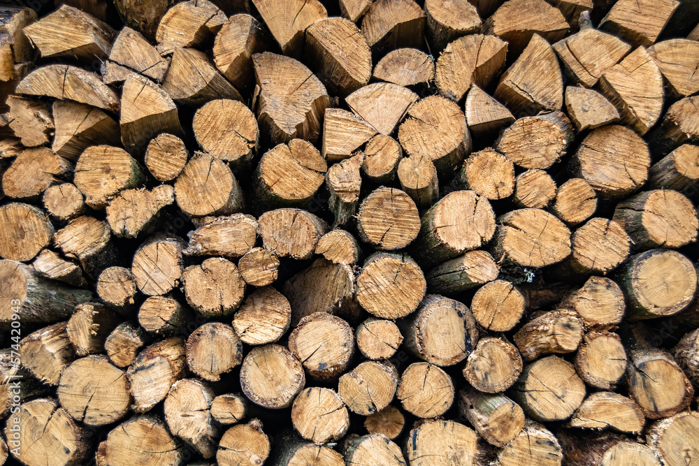 Photography on theme big wall of stacked oak tree logs in cracks Photography on theme big wall of stacked oak tree logs in cracks