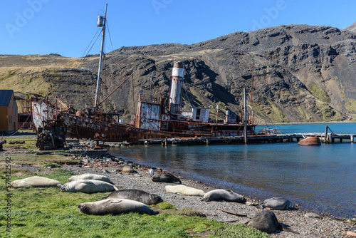 South Georgia Islands photo