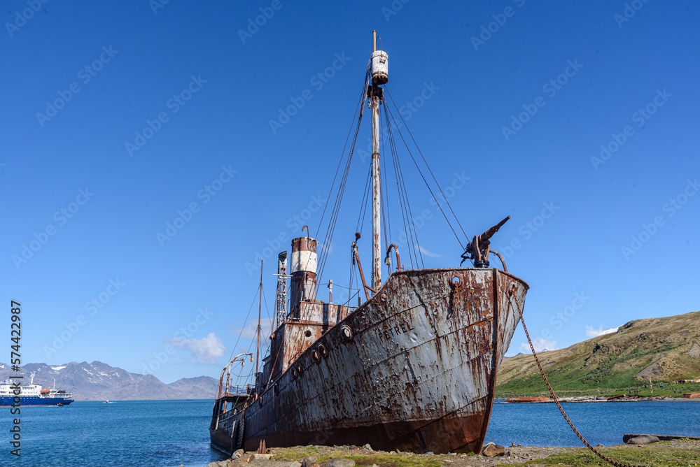 South Georgia Islands