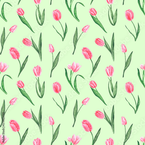 Pink tulips watercolor seamless pattern. Spring  flora  plant  flower. Blooming tulips. Light green background. For printing on textiles  fabrics  wrapping paper  postcards  covers.