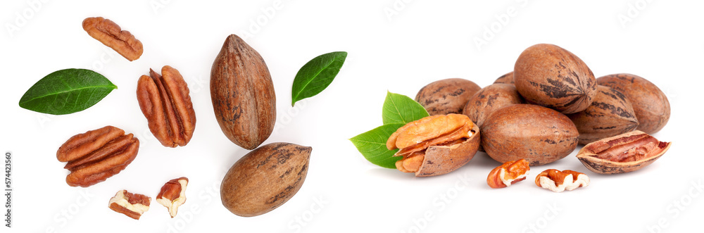 pecan nut decorated with green leaves isolated on white background. Top view. Flat lay pecan nut decorated with green leaves isolated on white background. Top view. Flat lay