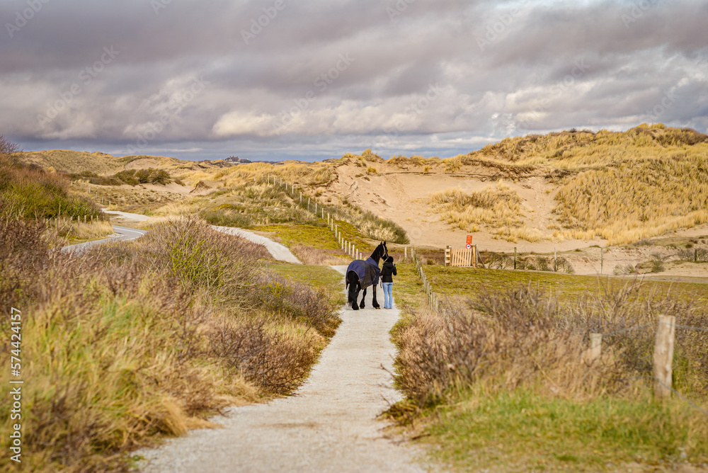 Walking with a horse  near the sea on the sand beach , Katwijk