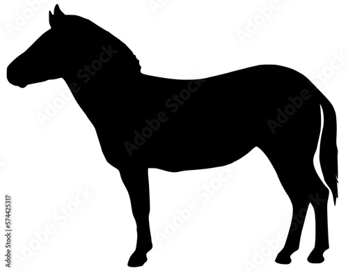 silhouette of a horse