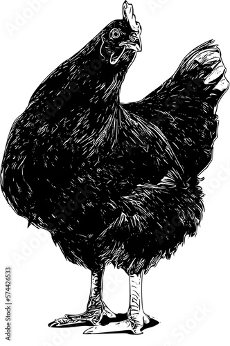 hen and chicken
