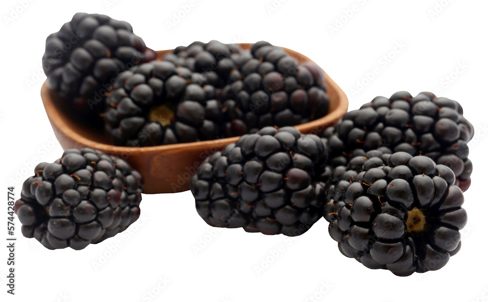 Fresh blackberries Fresh blackberries