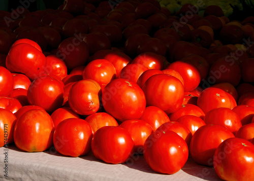 The last of the fresh tomatoes are spread out on a table at an autumn farmers market