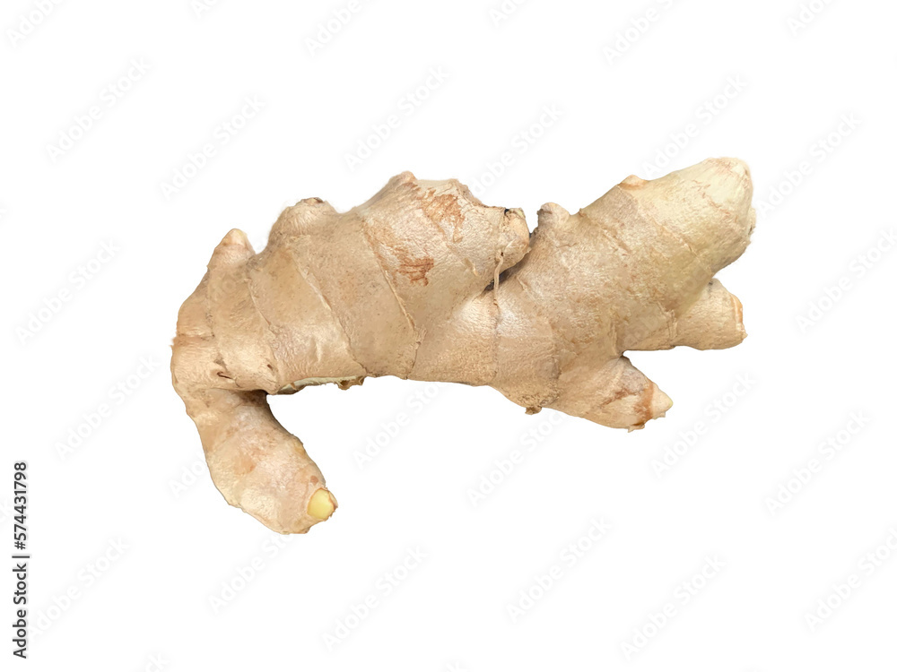 ginger ginger