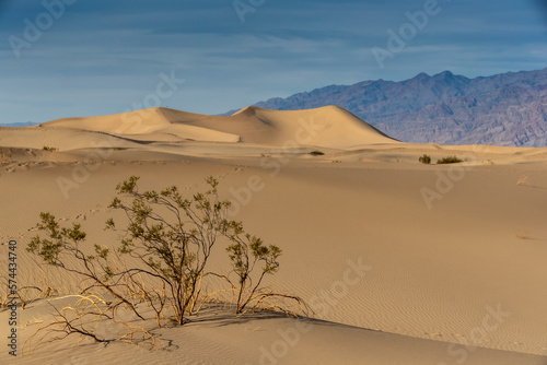 Scenic View Of A Desolate Arid American Desert