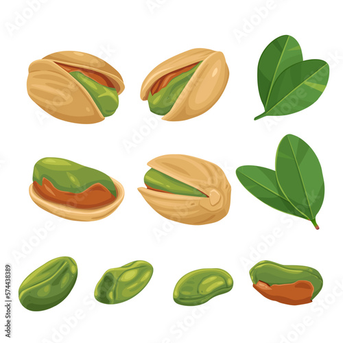 Vector product walnut pistachio icon. Pistachio nuts in the shell and with leaves. Illustration of food pistachio in flat minimalism style.Vector eps 10. perfect for design elements
