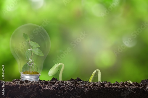 Green plant growing on lamp bulb in nature