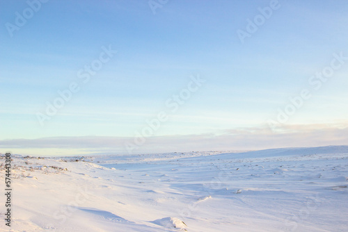 winter landscape with snow © Alina Bystrova