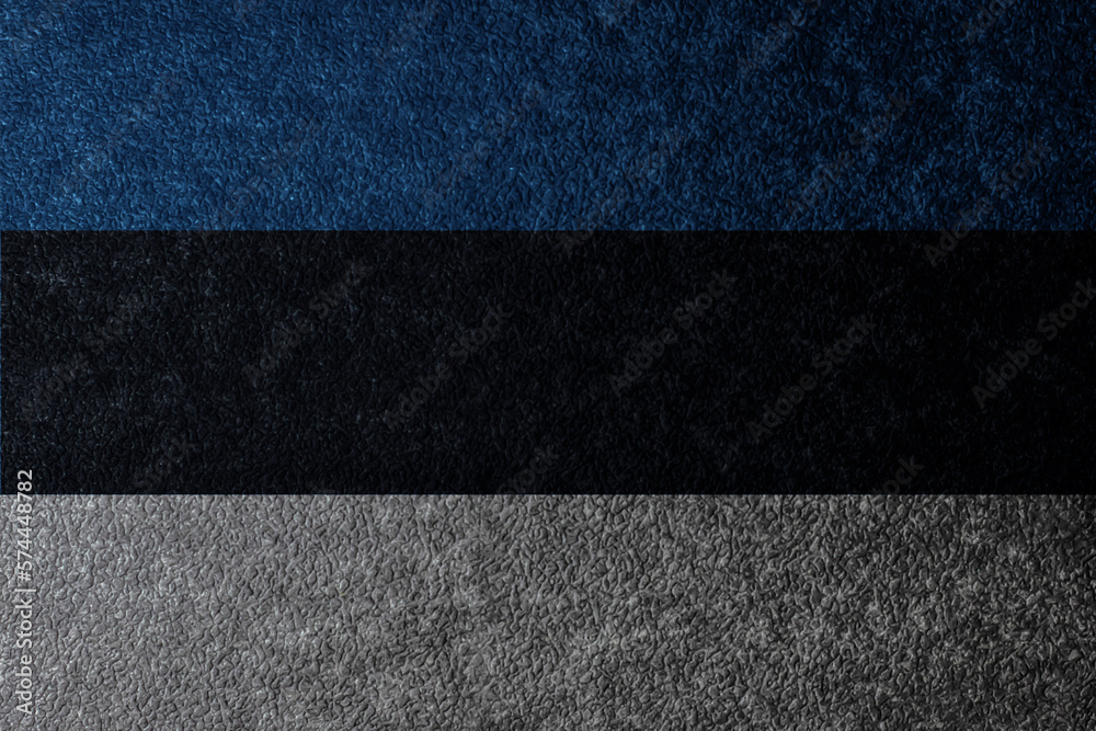Fototapeta premium The flag of Estonia. Estonia. The state symbol of Estonia. Flag