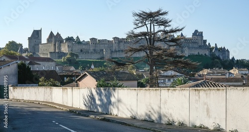 Carcassonne medieval city