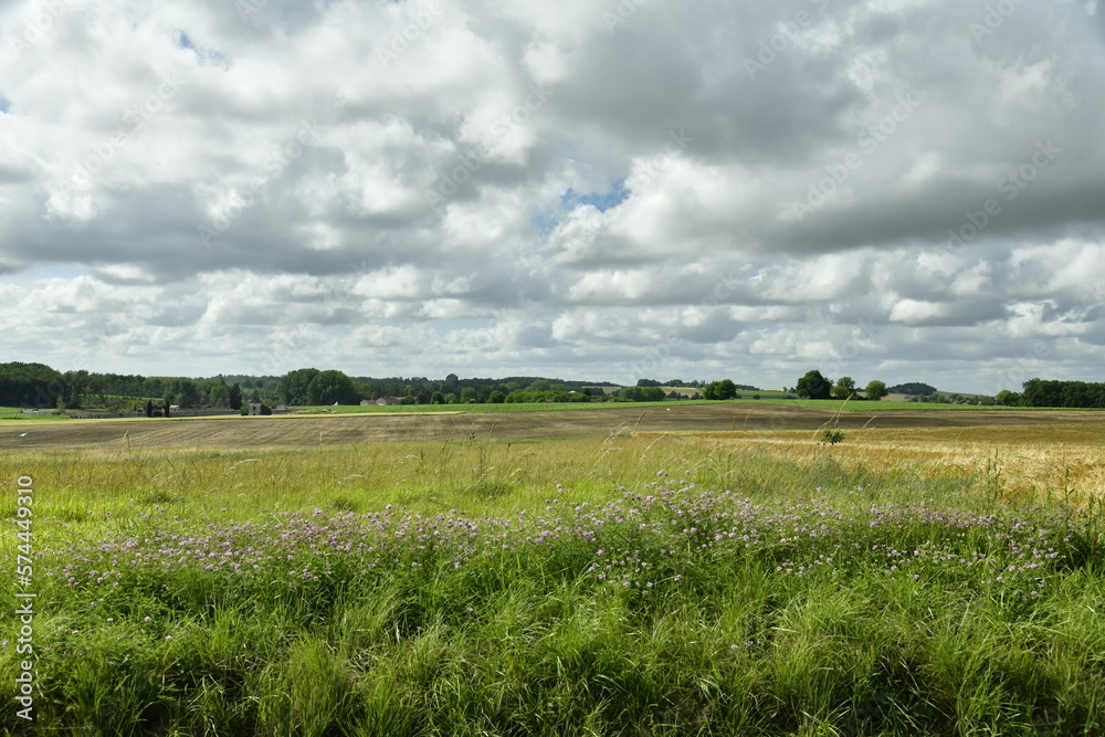 Fototapeta premium Champ de blé sous un ciel gris près du bourg de Champagne au Périgord Vert 
