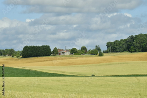 Nuance de couleurs entre les zones d ombres et ensoleill  es sur un champ de bl   pr  s d un des hameaux    champagne-et-Fontaine au P  rigord Vert 