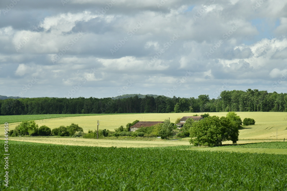 Nuance de couleurs entre les zones d'ombres et ensoleillées sur un champ de blé près d'un des hameaux à champagne-et-Fontaine au Périgord Vert 