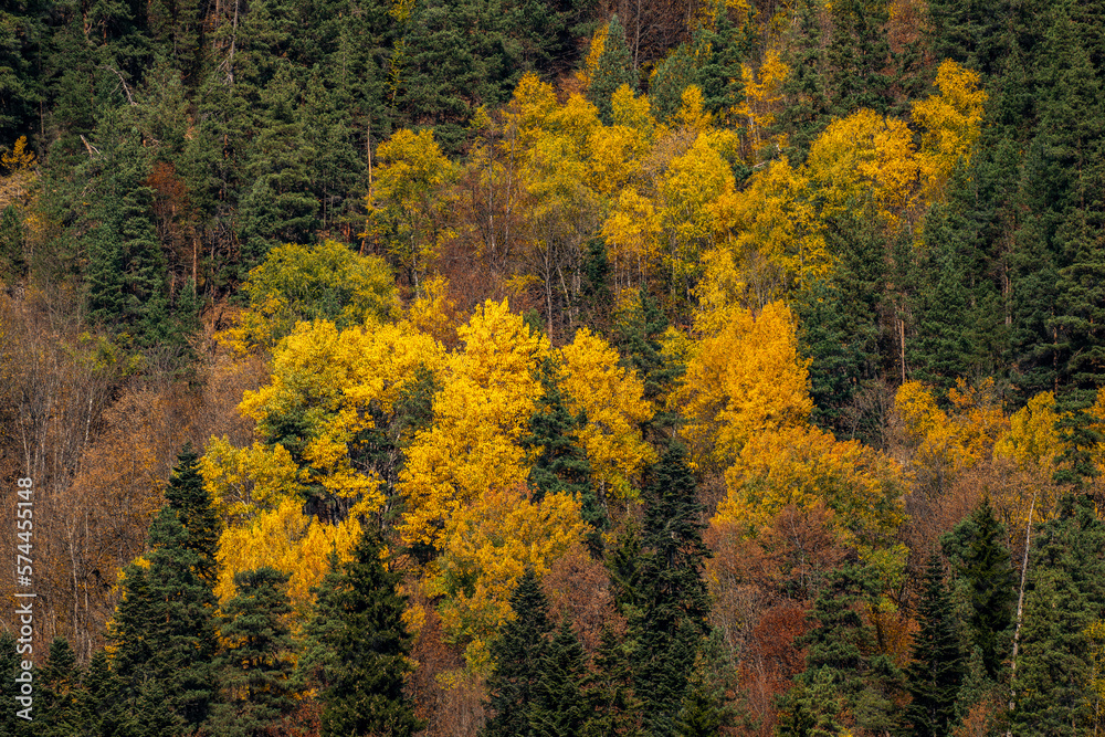 Autumn views in the mountains