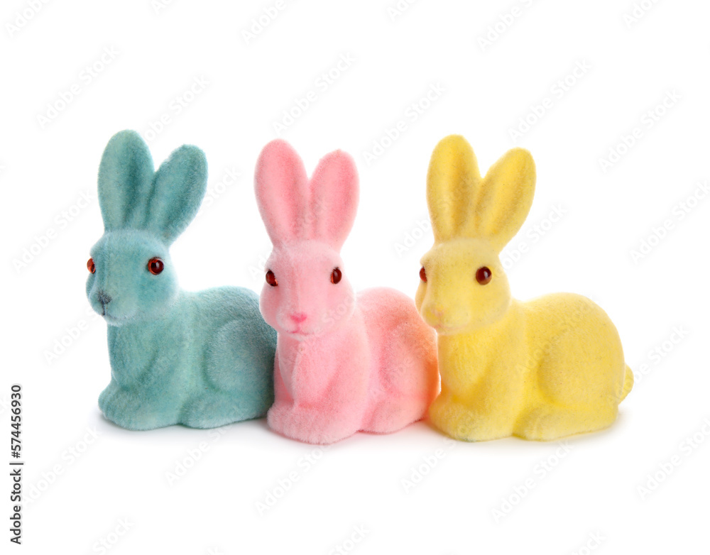 Obraz premium Easter bunnies isolated on white background