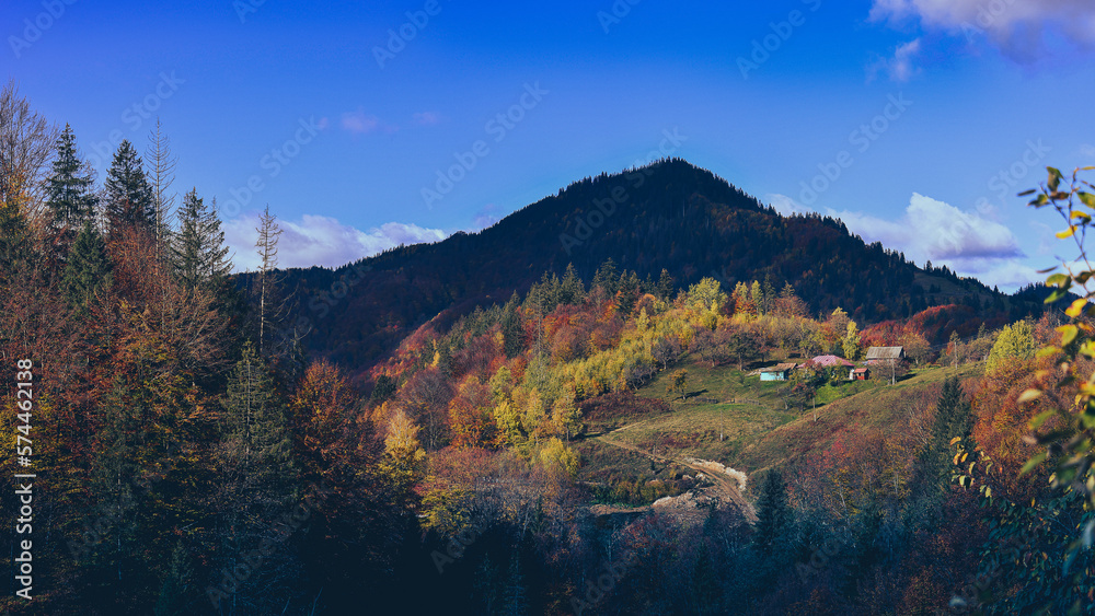 mountain, nature, landscape, mountains, forest, karpaty