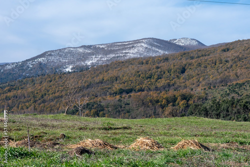 Scenic view of Akfadou Forest in Bejaia covered by snow photo