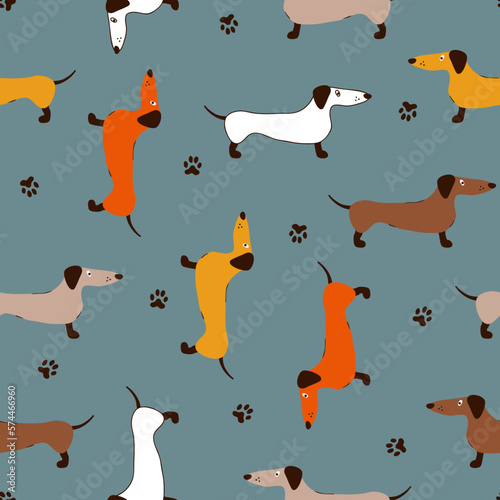 Seamless pattern with cute dachshunds and dog prints. Vector background.