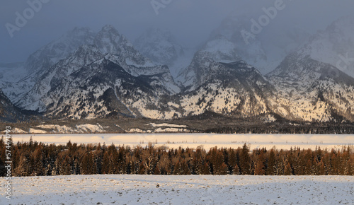 Teton Storm Snow Shoe