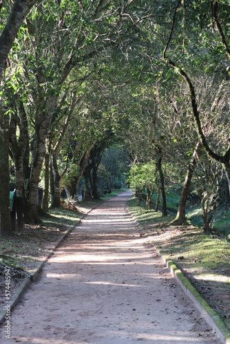 alley in the park