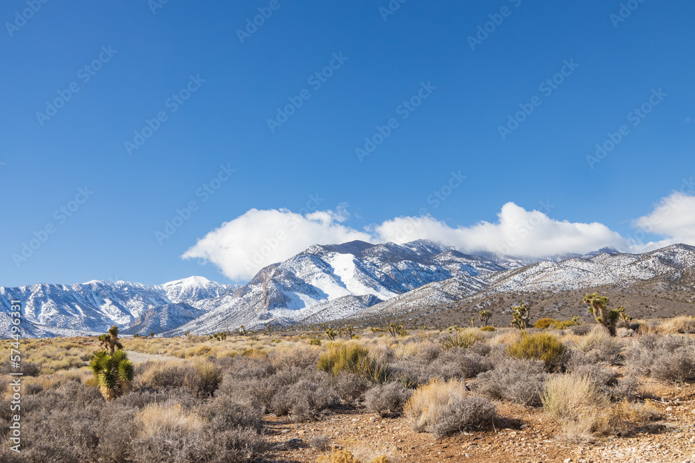 Fototapeta premium Snow covered mountains at Spring Mountain National Recreation Area, Nevada